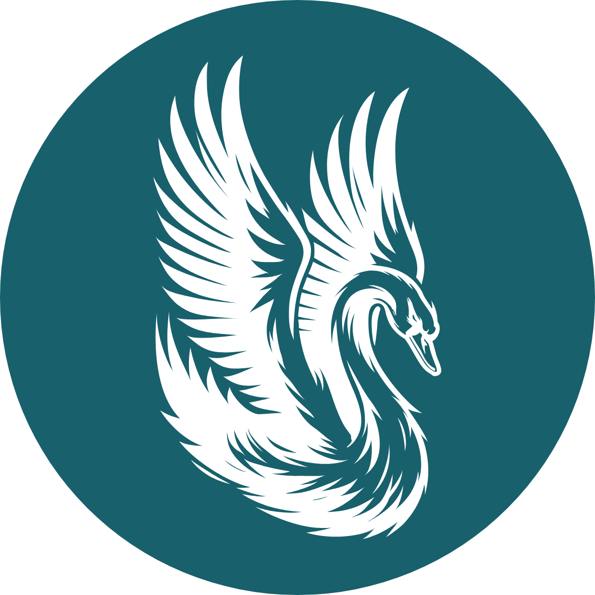 Swansea Canoe Polo Club logo